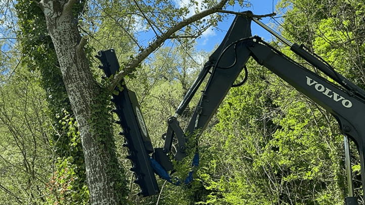 Foarfece de tuns crengi și arboret